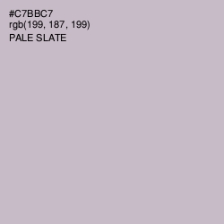 #C7BBC7 - Pale Slate Color Image